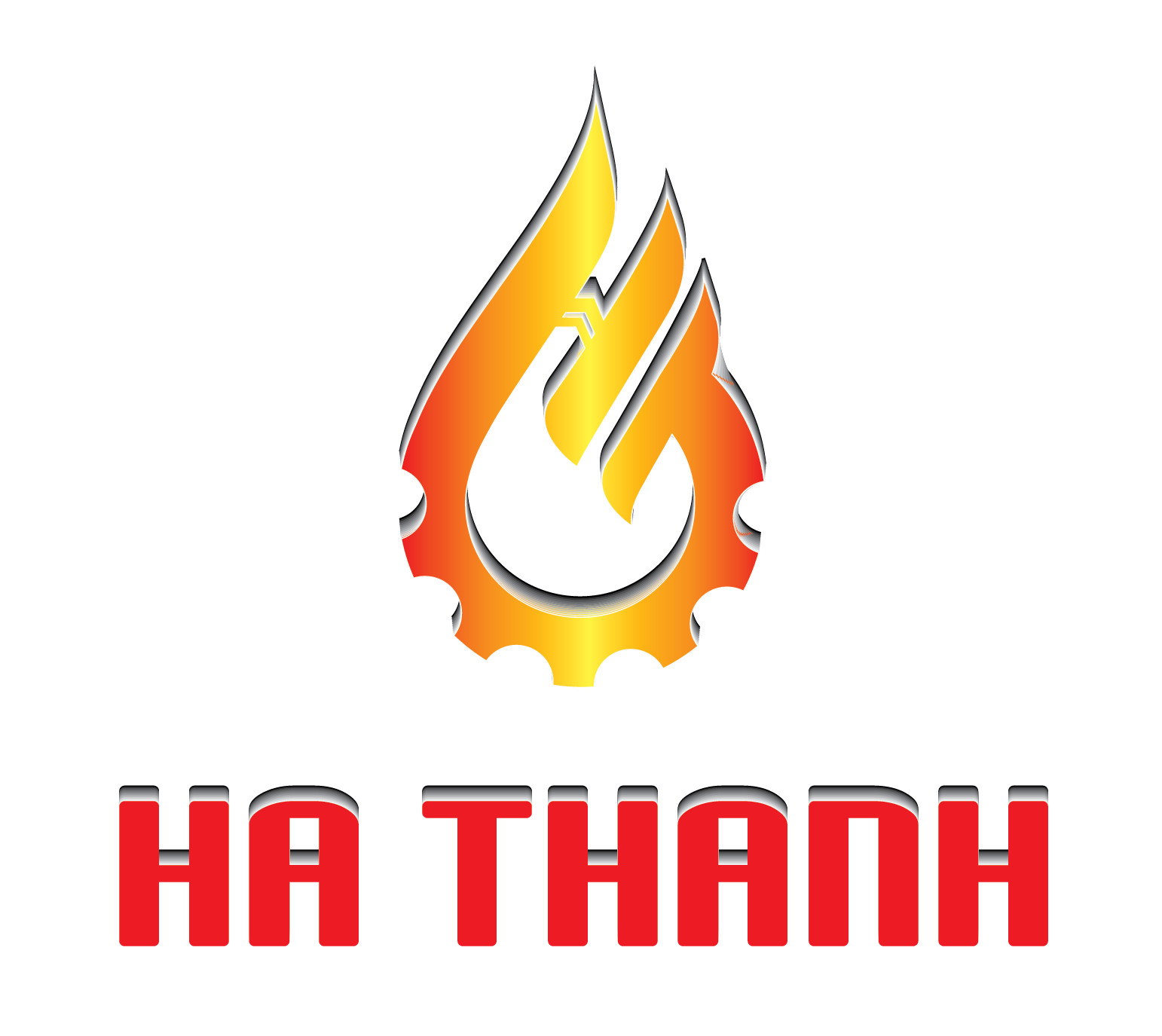 lĩnh vực hoạt động